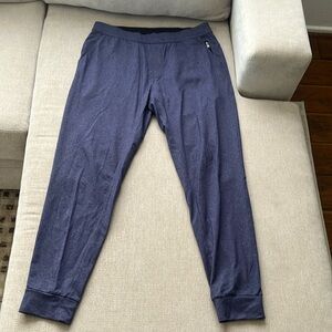 Public Rec Heather Blue Joggers Size 34/32